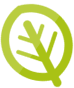 Leaf Icon