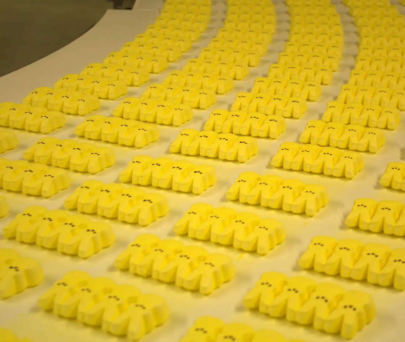 Rows of yellow marshmallows