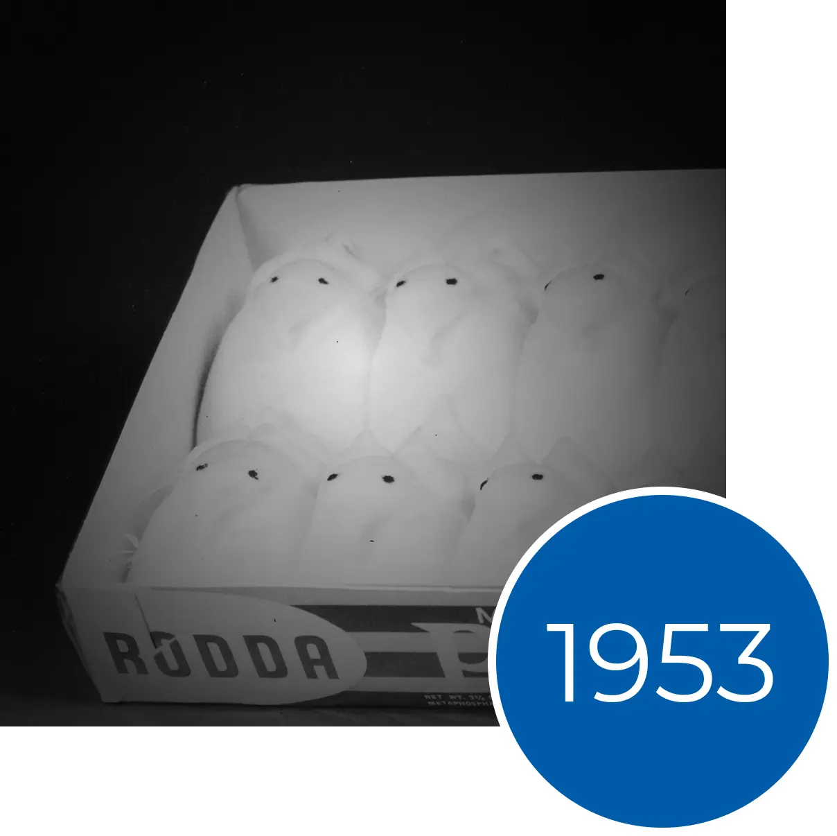 Black and white photo of a box of white marshmallow chick treats with a blue 1953 graphic overlay.