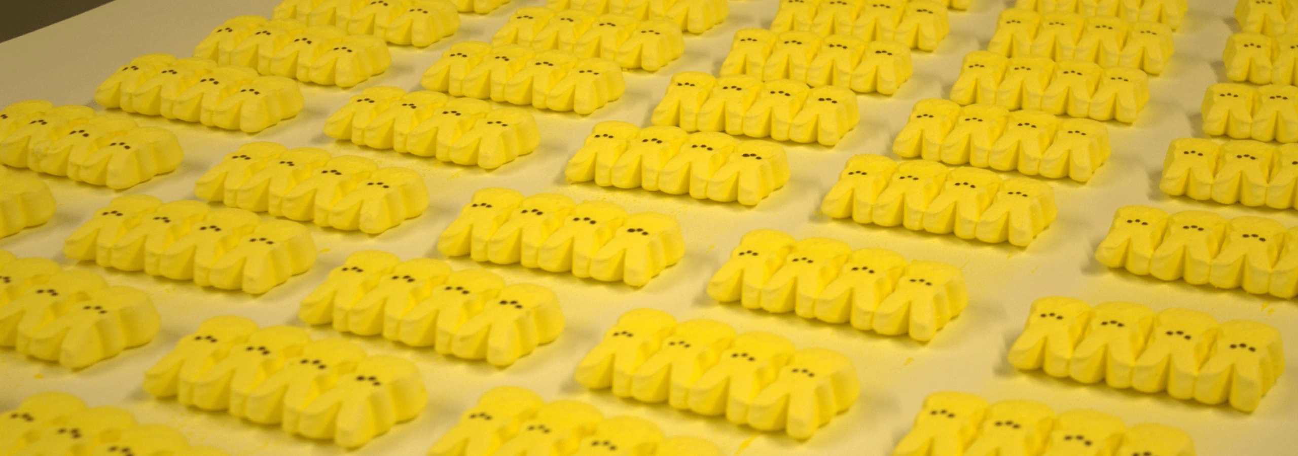 Rows of yellow marshmallows