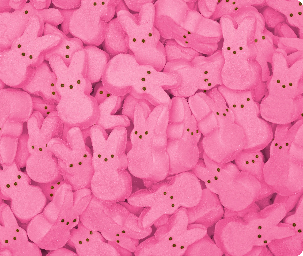 A pile of bright pink marshmallow bunny Peeps.